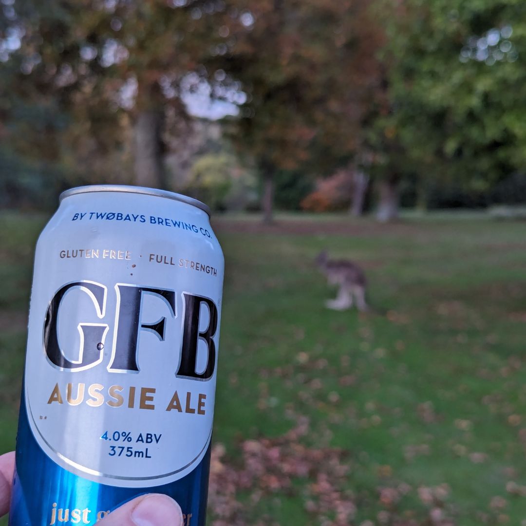 GFB Aussie Ale Double Carton